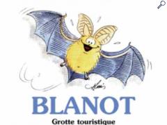 picture of Nuit européenne de la chauve-souris