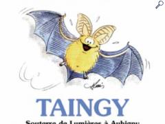 picture of Nuit européenne de la chauve-souris