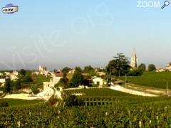 foto di HARVEST THE VINTAGE 2006