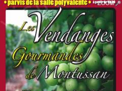 photo de LES 2emes VENDANGES GOURMANDES DE MONTUSSAN