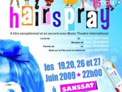 photo de COMEDIE MUSICALE - HAIRSPRAY