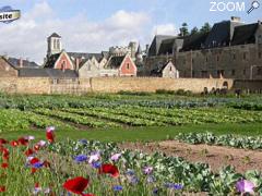 Foto Vide-grenier, Foire aux plantes et aux graines