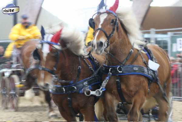 Fermer la fenêtre