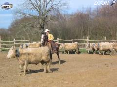 фотография de 1er concours auvergne team penning