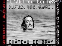 photo de Exposition Salvador Dali