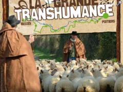 foto di Grande Transhumance