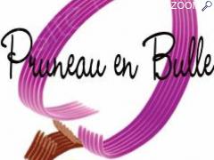 Foto Pruneau en Bulle, 3ème Festival de Bandes Dessinées de l'Agenais