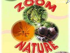 picture of "Zoom Nature"