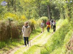 foto di Ballade nature