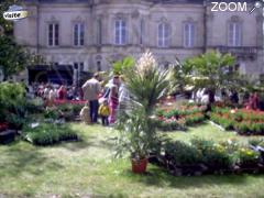 photo de Foire aux fleurs