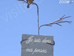 Foto Les tuteurs de jardins s'exposent