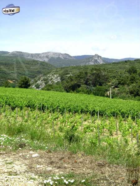 Fermer la fenêtre