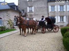 foto di VIDE GRENIER ET CONCOURS ATTELAGES AU MANOIR DE TROUZILIT