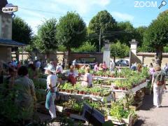 фотография de FOIRE A LA BOUTURE ET AUX PLANTES EXOTIQUES