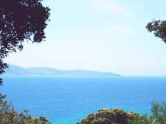 picture of LOCATION GITE CORSE SUD