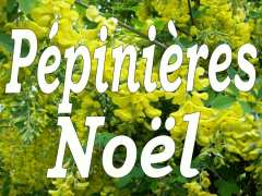 фотография de pepinieres noel vente en ligne d'arbustes, d'arbres fruitiers, d'arbres tiges, de conifères, de terres de bruyere, de petits fruits, de méditerranéennes, de plantes grimpantes, d'aromatiques