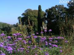 picture of Le Jardin Mosaïque