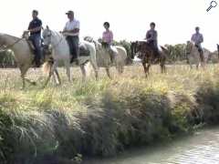 photo de Le Haras centre de tourisme equestre