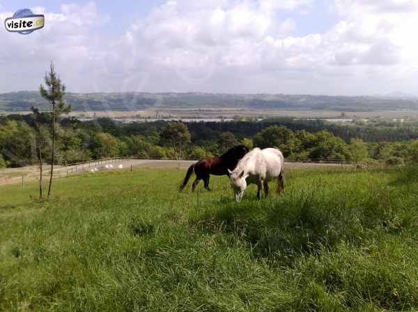 Fermer la fenêtre