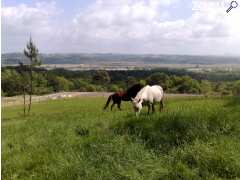 photo de Ecuries de la Juzère