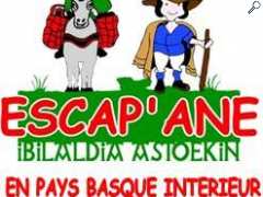 photo de ESCAP'ANE EN PAYS BASQUE INTERIEUR