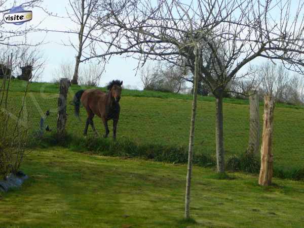 Fermer la fenêtre