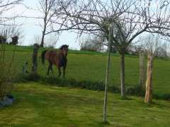 фотография de petit bonheur en normandie 