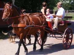 photo de Ecurie "Les Graviers"