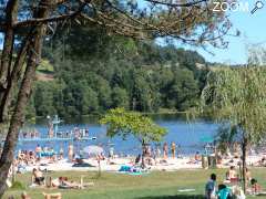 foto di Camping Lac de Miel