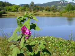 фотография de Arboretum de Chamberet