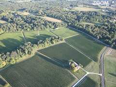 picture of Chateau Coulon Laurensac