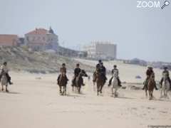 picture of TOURISME EQUESTRE HARAS DE ST VIVIEN