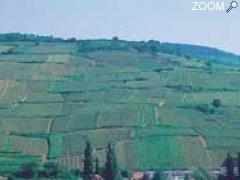 foto di Le Vignoble Alsacien