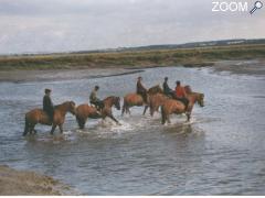 picture of Centre Equestre de la Baie de Somme