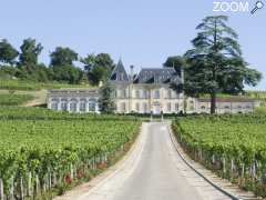 photo de Château Fonplégade Grand Cru Classé Saint Emilion