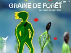 photo de Graine de Forêt - Parcours découverte