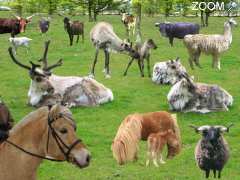 picture of Parc animalier