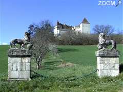 picture of CHATEAU DE GOUDOURVILLE