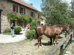 picture of GITE EQUESTRE DE CHAUMEIX