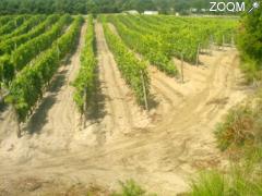 foto di Les Vignes de Capbreton