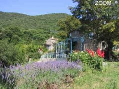 picture of Accroche-coeur en cévennes