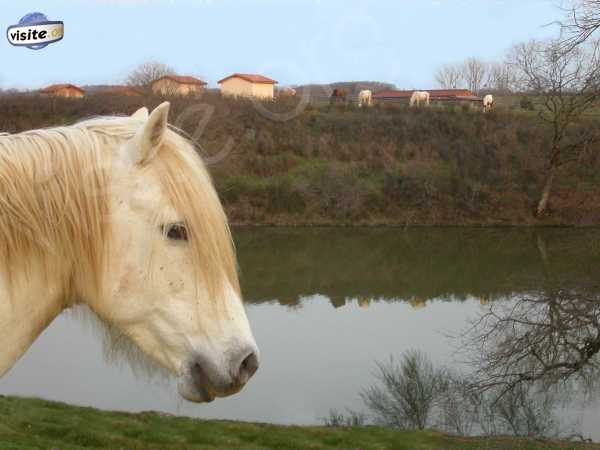 Fermer la fenêtre