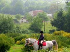 picture of Séjours et Randonnées équestres à la Pichardière dans le Perche