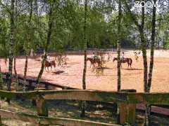 foto di Centre Equestre les Roches de Scoeux