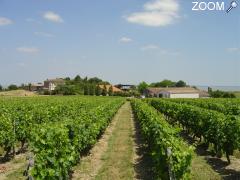 picture of Château Tour Castillon