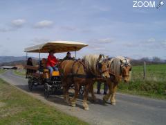 foto di La Ferme du Pré Fleuri