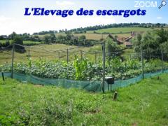 foto di L'Escargot Brionnais