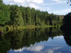 photo de Office de tourisme du pays de Montfort en Brocéliande