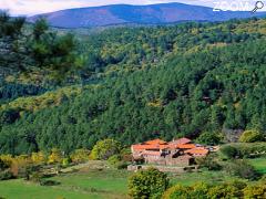 picture of Chambre d'hôtes en Cévennes Lou Rey