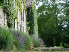 foto di Domaine des Prés de Joussac